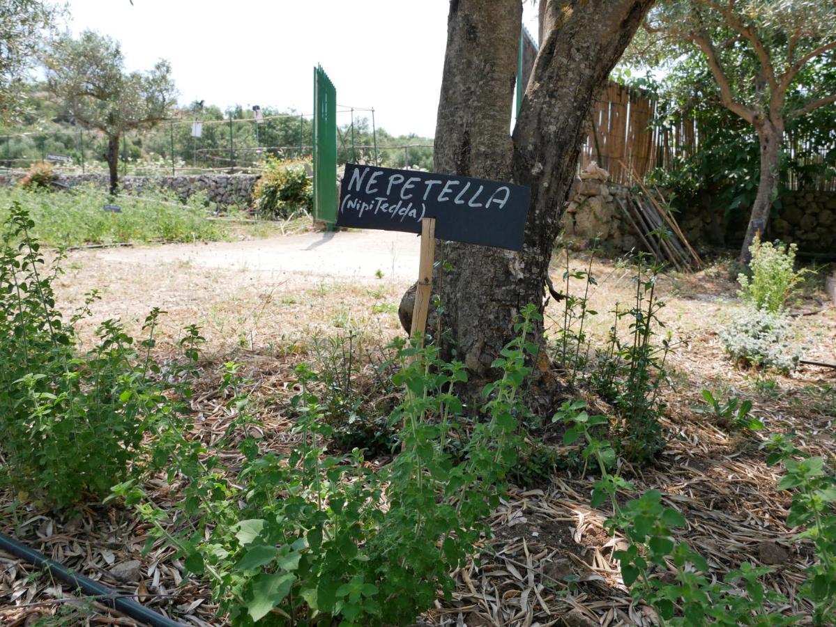 Pantalica Ranch Agriturismo Siciliano Villa Sortino Luaran gambar